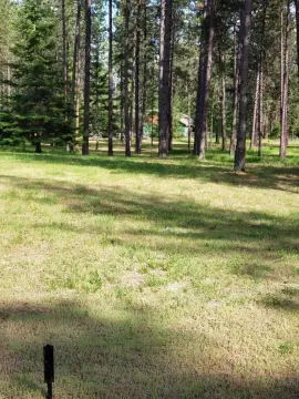 Treed Residential Building Lot
