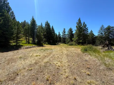 Treed Recreation Land Parcel