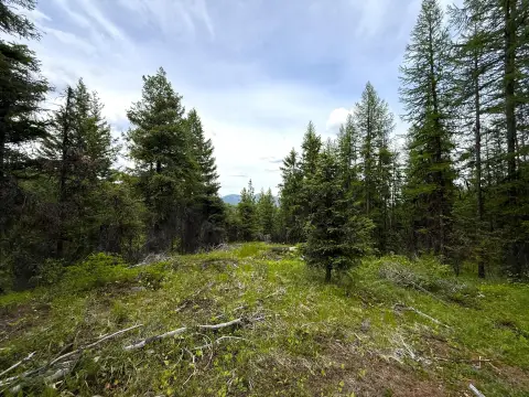 Forested Ridgeline Recreation Parcel