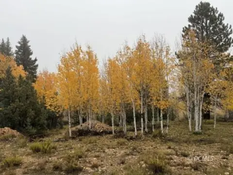 Swains Creek Lot with Meadow View