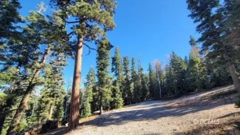 Recreational Lot in Duck Creek