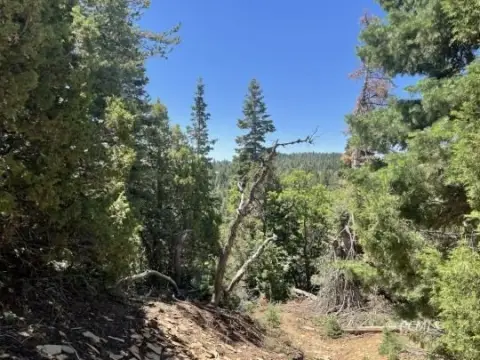 Secluded Mountain Lot in Utah