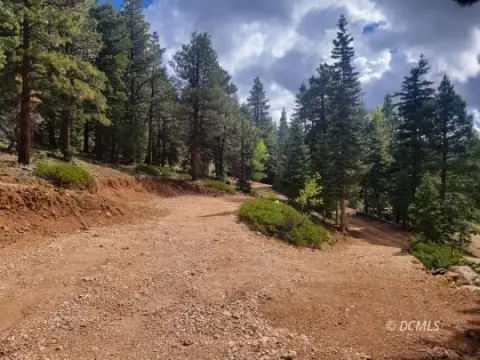 Wooded Lot Near Navajo Lake