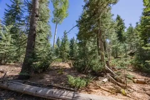 Duck Creek Village Building Lot