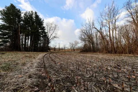 48 Acres of Recreational Farmland