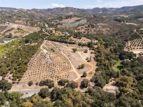 Agricultural Land with Avocado Orchard
