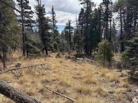 Land in Angel Fire, NM