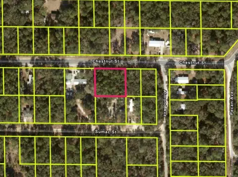 Residential Land in Interlachen, FL