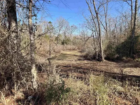 Open Rural Acreage