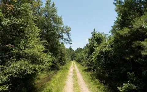 Recreational Timberland Tract