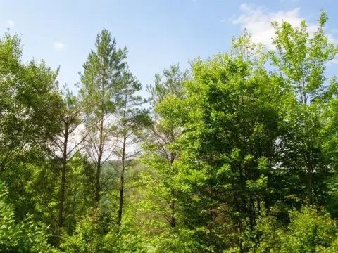 Roxbury Recreational Land For Sale