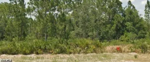 Residential Lot in Avon Park