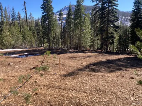 Expansive Land with Natural Spring