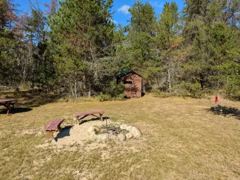 40 Acres in Manistee Forest