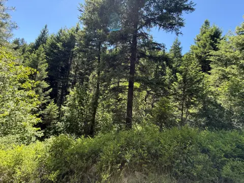Off-Grid Hunting Land with Cabin