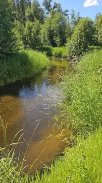 Vacant Waterfront Land Parcel