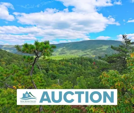 Unrestricted Land Bordering National Forest