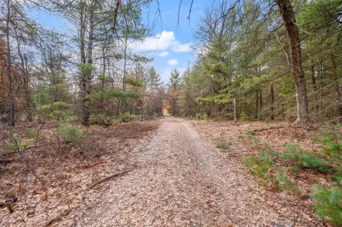 Brohman, MI Land For Sale