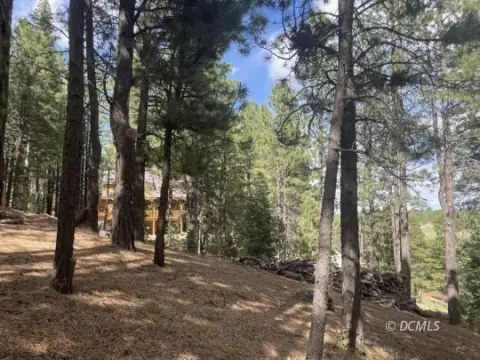 Residential Lot in Duck Creek
