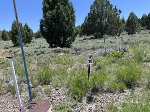 Residential Lot in Long Valley