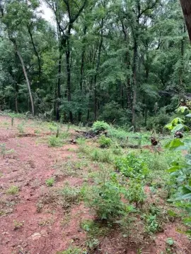Cleared Build-Ready Lot