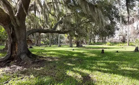 1324-Acre Ranch on Peace River