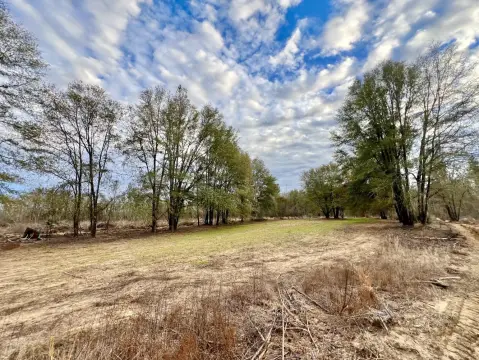 Vacant Land in Pine Hill, AL