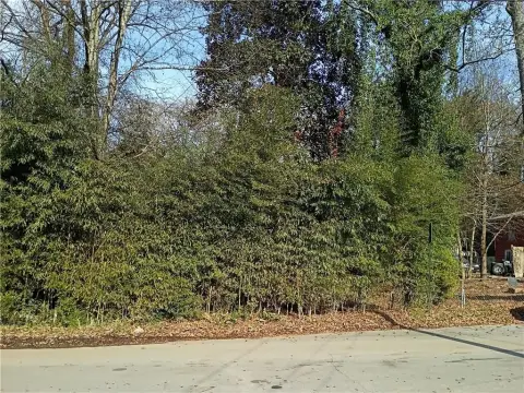 Atlanta Land with No HOA