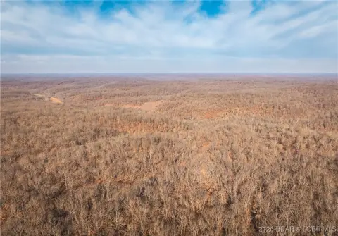 Prime Hunting and Recreational Land