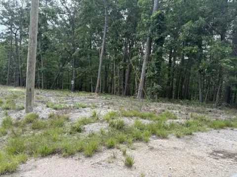 Wooded Corner Lot in Village