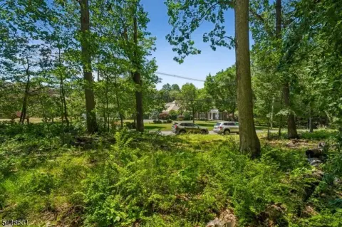 Subdivision-Ready Land Parcel