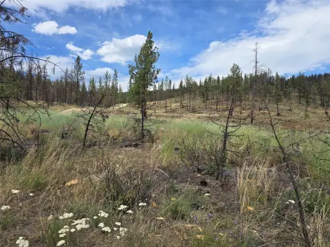 Rolling Buildable Land Parcel