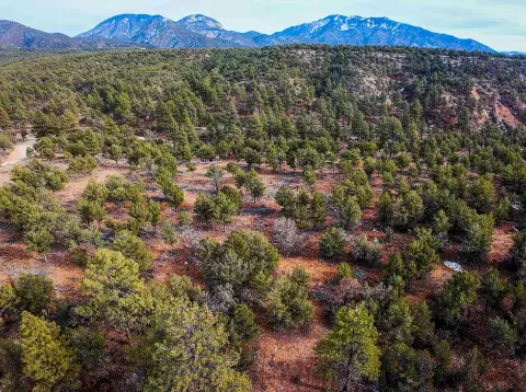 Gallina Canyon Land Parcel