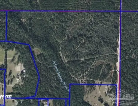 91.81 Acres in Milton, FL