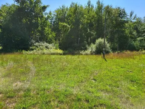 Waterfront Land on Tittabawassee River