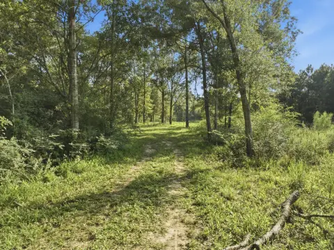 Waterfront Hunting Land Tracts