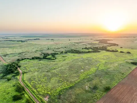 160-Acre Hunting and Farmland Tract