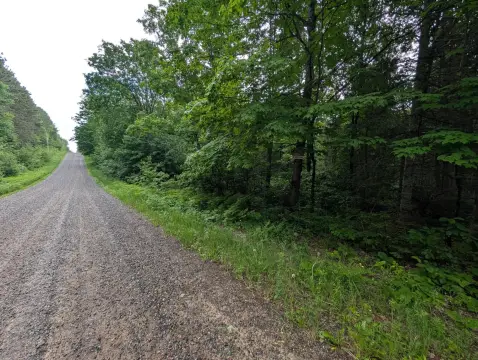 Wooded Recreation Land Parcel