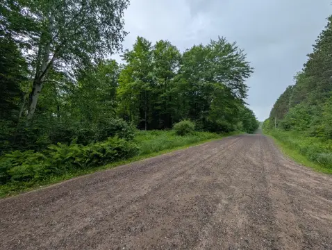 Heavily Wooded Hunting Land Parcel