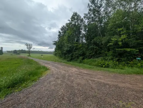 Heavily Wooded Hunting Land Parcel