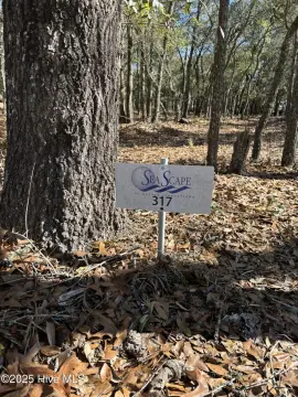 Wooded Corner Lot in Seascape