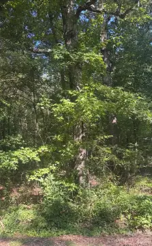Vacant Land Parcel