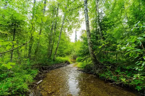 Creekfront Waterfront Land
