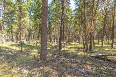 Wooded Land Along Forest Boundary