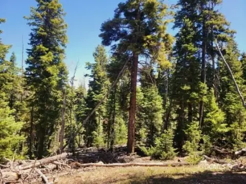 Residential Lot in Duck Creek