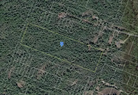 Secluded 5-Acre Vacant Land