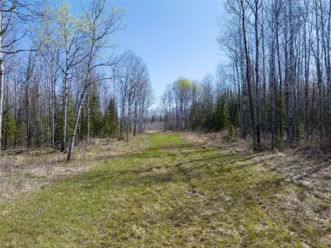 120-Acre Hunting Land
