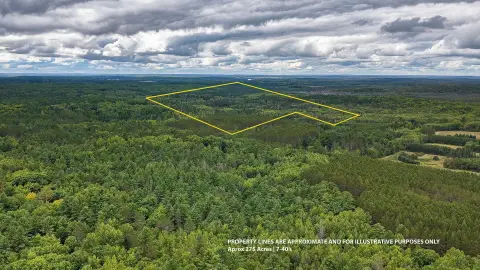 Wooded Recreational Land