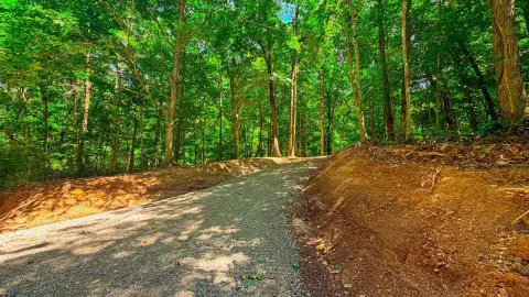 Wooded Recreation Land with Driveway