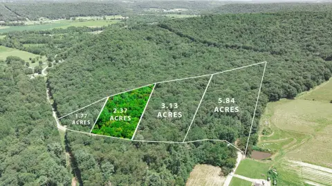 Wooded Recreation Land with Driveway